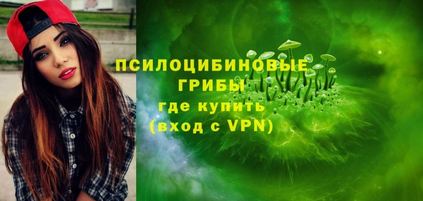 тгк Алзамай