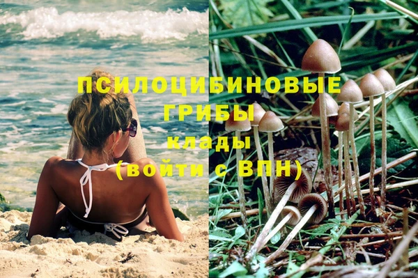 прущая мука Алексин