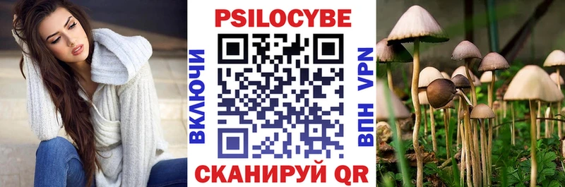 как найти закладки  Мамоново  Псилоцибиновые грибы Magic Shrooms 